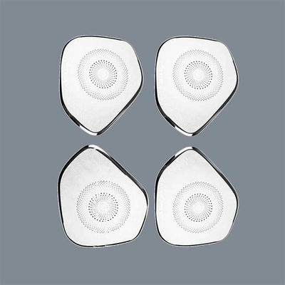 ريسک هاي اسپيكر اتومبيل از فولاد ضد زنگ